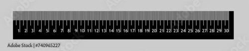 A 30 centimeter long ruler or scale  isolated on a white background. It is an instrument used to make length measurements, whereby a user estimates a length by reading from a series of markings on it 