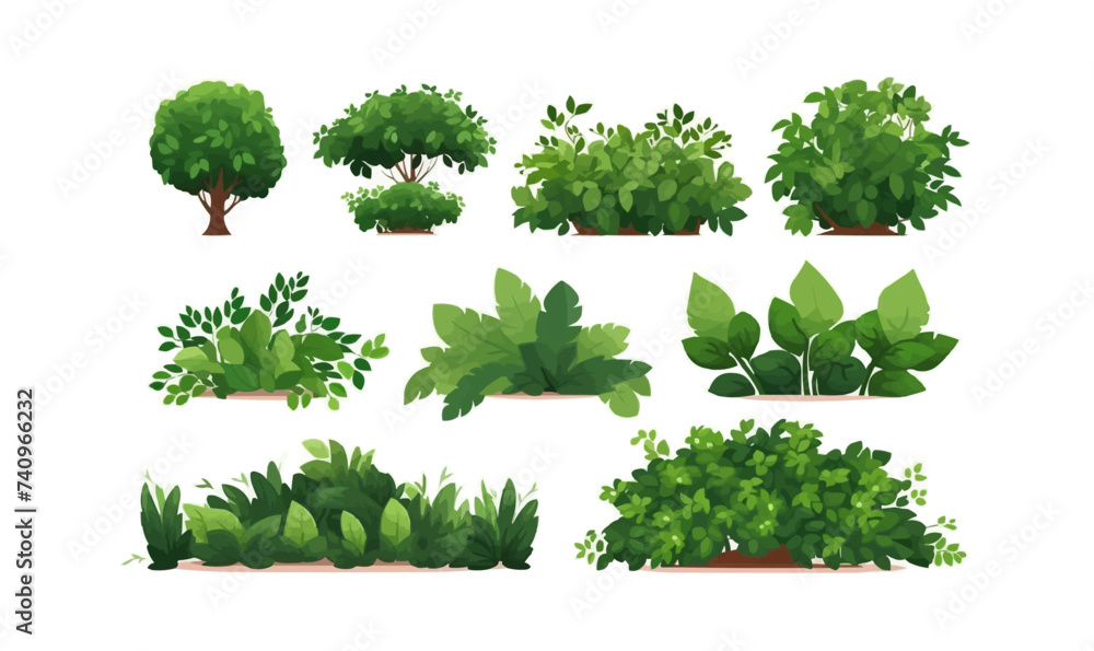 Fototapeta premium bush set vector flat minimalistic isolated illustration