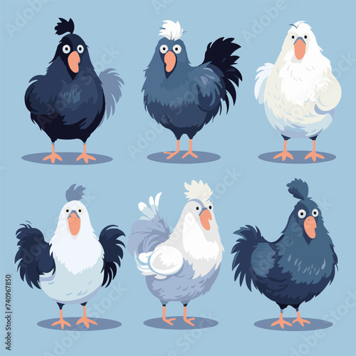 vector illustrations of different chicken breeds, showcasing their unique characteristics and features.