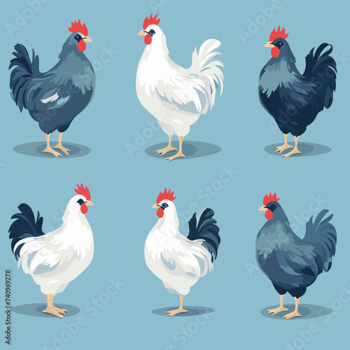 vector illustrations of different chicken breeds, showcasing their unique characteristics and features.
