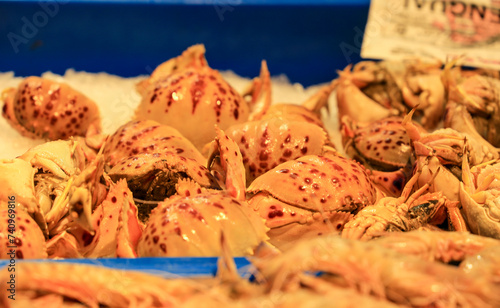 Fresh crabs for sale in the central market of Sanlucar de Barrameda photo