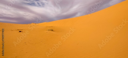 A sweeping panorama captures the vast expanse of golden sand dunes stretching as far as the eye can see  forming an arid desert under a partly cloudy blue sky in Timimoun  Algeria.