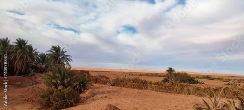 A sweeping panorama captures the oasis nestled in the midst of fine sandy desert  with agricultural fields stretching at the base of palm trees beneath a partly cloudy blue sky in Timimoun  Algeria.