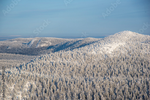 Forest mountain landscape © citikka
