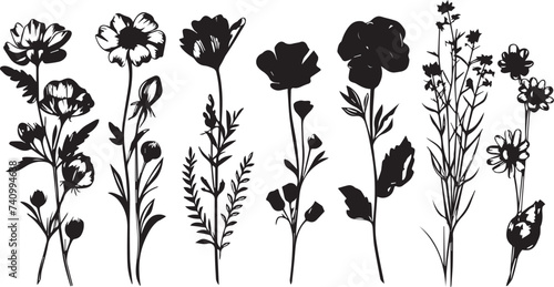 Set Flowers. Hand drawn vector illustration