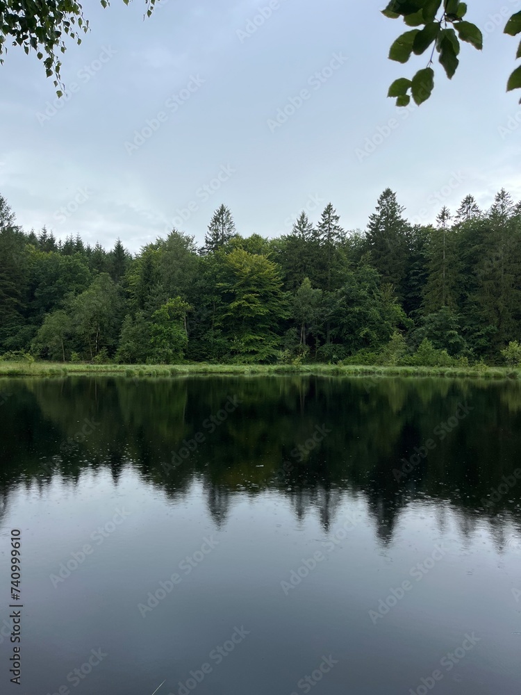 Obraz premium reflection of trees in lake
