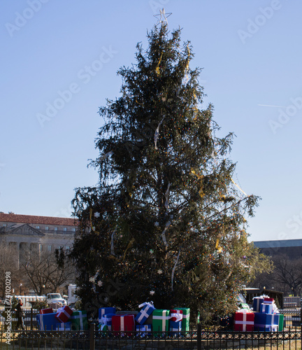 white house christmas tree in washington dc