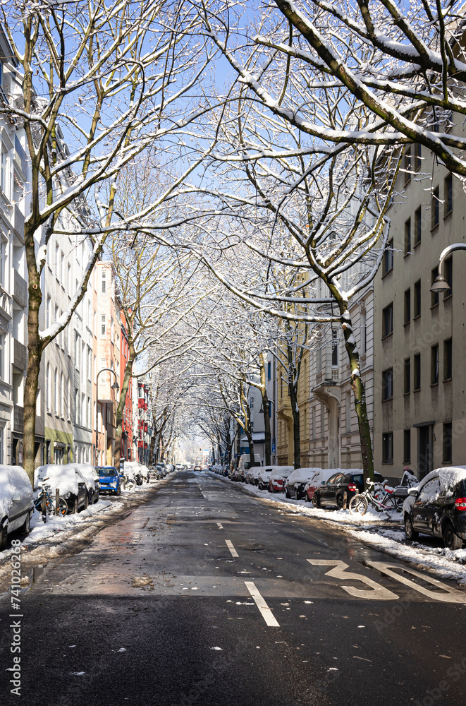 Snow-dusted trees line a clear urban road on a bright winter day, offering a peaceful and scenic cityscape under a blue sky