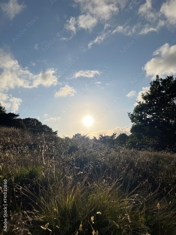 Obraz premium sunset in the mountains