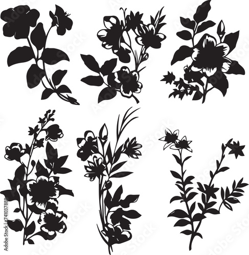 Fototapeta Naklejka Na Ścianę i Meble -  Set Flowers. Hand drawn vector illustration