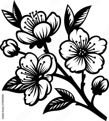 Cherry Blossoms