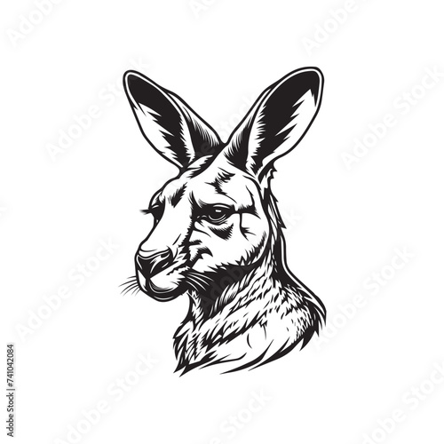 Vector sketch of kangaroo head - Hand drawn illustration isolated on white background