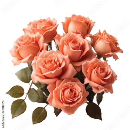 bouquet of orange color roses © Shirina