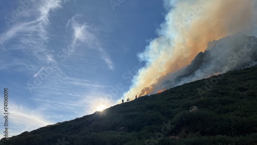 forest firefighters