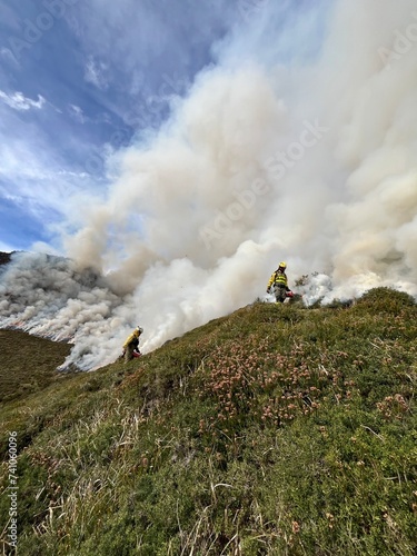 forest firefighters