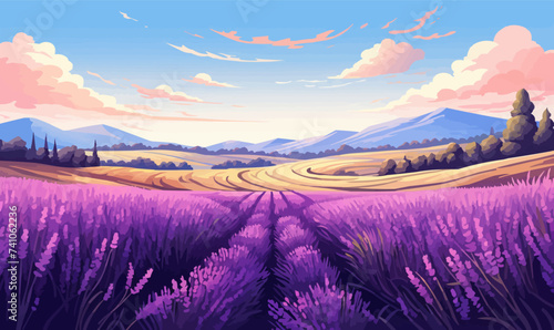 A blooming lavender field vector simple 3d smooth isolated illustration