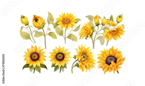 illustration set ??" Wildflowers: summer flower, blossom, poppies, chamomile, dandelions, cornflowers, lavender, violet, bluebell, clover, buttercup, butterfly. --