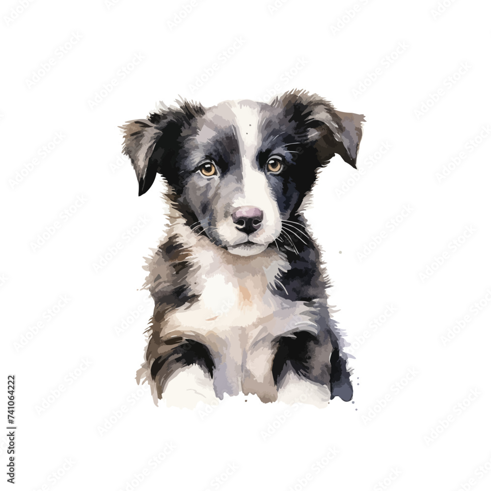 The dog is isolated. Vector illustration