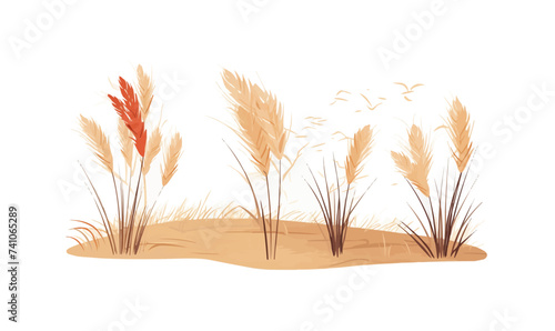 savanna dry grass set vector flat minimalistic isolated illustration