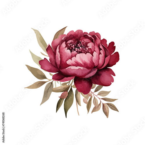 watercolor burgundy peony clipart for graphic resources