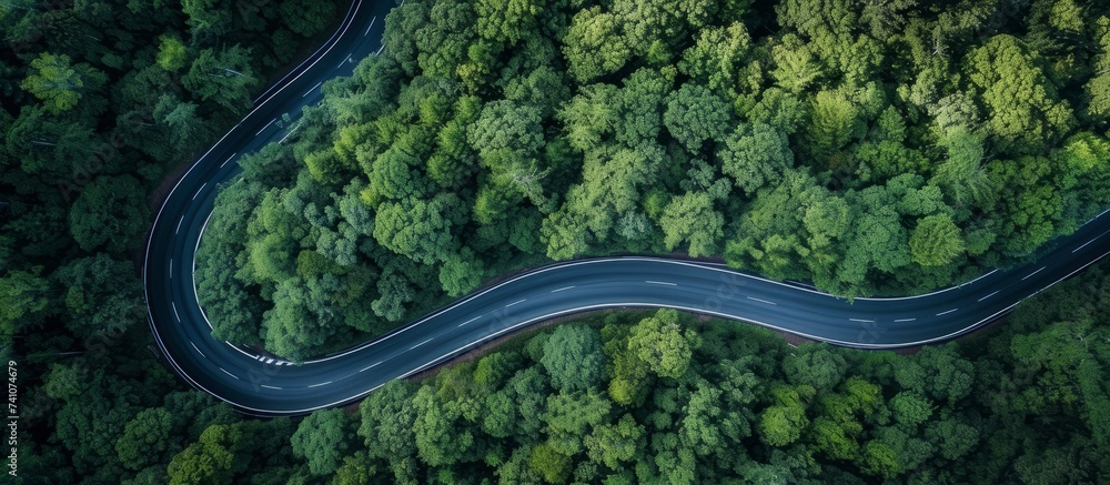 An aerial perspective of a road meandering through a lush forest landscape with a variety of terrestrial plants, trees, and grass creating a picturesque view An aerial perspective of a road meandering through a lush forest landscape with a variety of terrestrial plants, trees, and grass creating a picturesque view