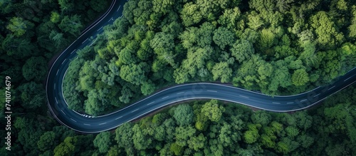 An aerial perspective of a road meandering through a lush forest landscape with a variety of terrestrial plants, trees, and grass creating a picturesque view