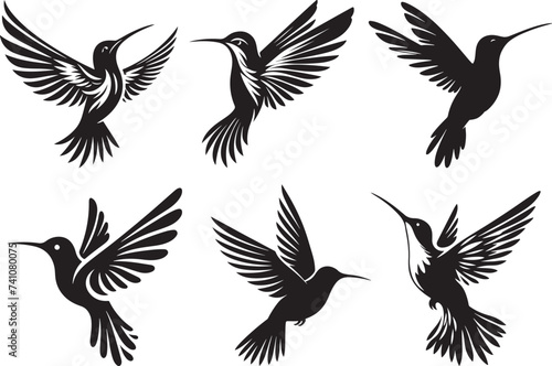 Humming bird silhouette vector illustration