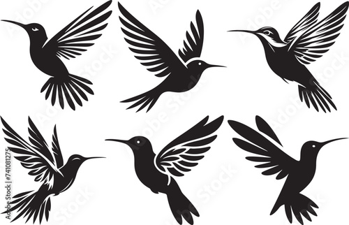 Humming bird silhouette vector illustration © CreativeDesigns