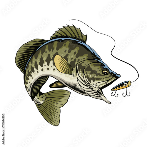 Big Bass Fish Catching the Fishing Lure