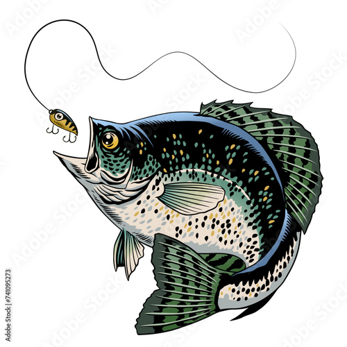 Crappie Fish Catching The Fishing Lure