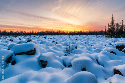 Snow view in Red Star Geopark, Yichun City, Heilongjiang province, China. photo