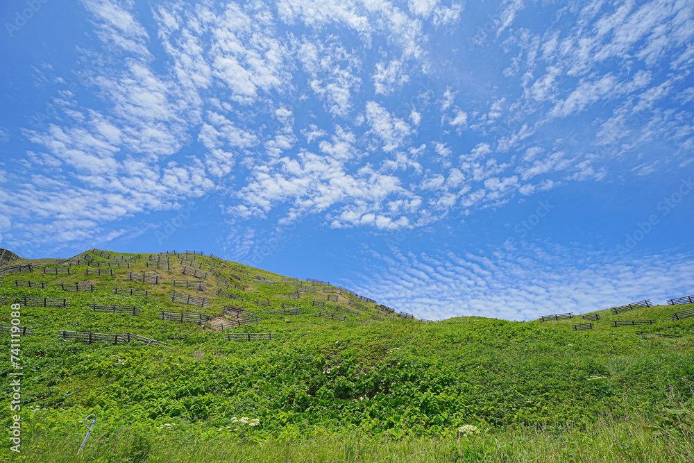 礼文島岬巡り