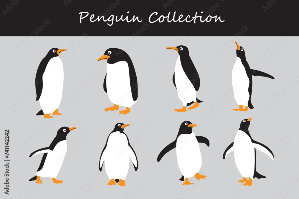 Fototapeta premium Penguin vector set. Cute cartoon penguin. Cute penguin collection.