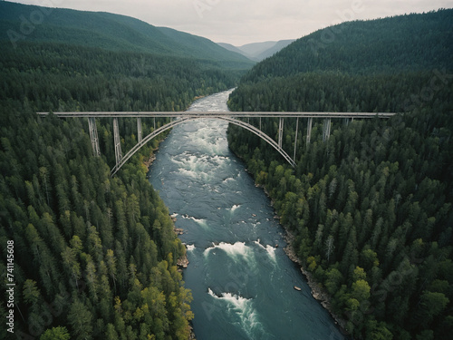 aerial view of bridge crossing a large river in the middle of the forest