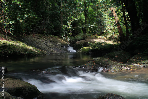 Fototapeta Naklejka Na Ścianę i Meble -  Waterscape in Central Borneo Tropical Forest
