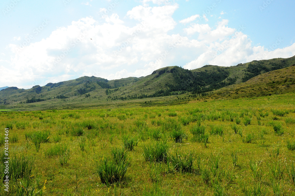 A wide clearing with scattered sparse bushes at the foot of a high mountain range.