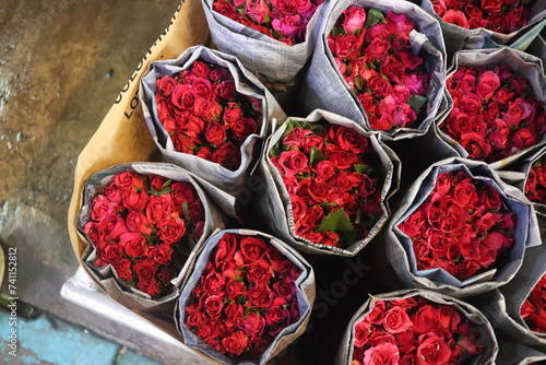 Red Roses  photo