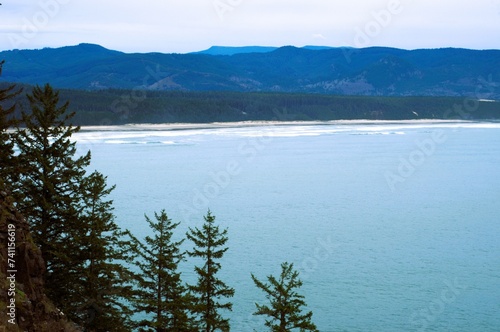 View of Oregon coast and pine covered mountains, with pine trees growing on a steep slope in the foreground.