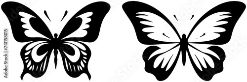 silhouette of butterfly