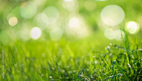 Blurred green grass meadow nature background, selective focus with bokeh circles