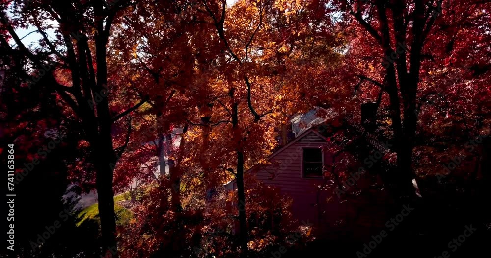Drone shot of changing leaves in Richmond, Virginia Drone shot of changing leaves in Richmond, Virginia