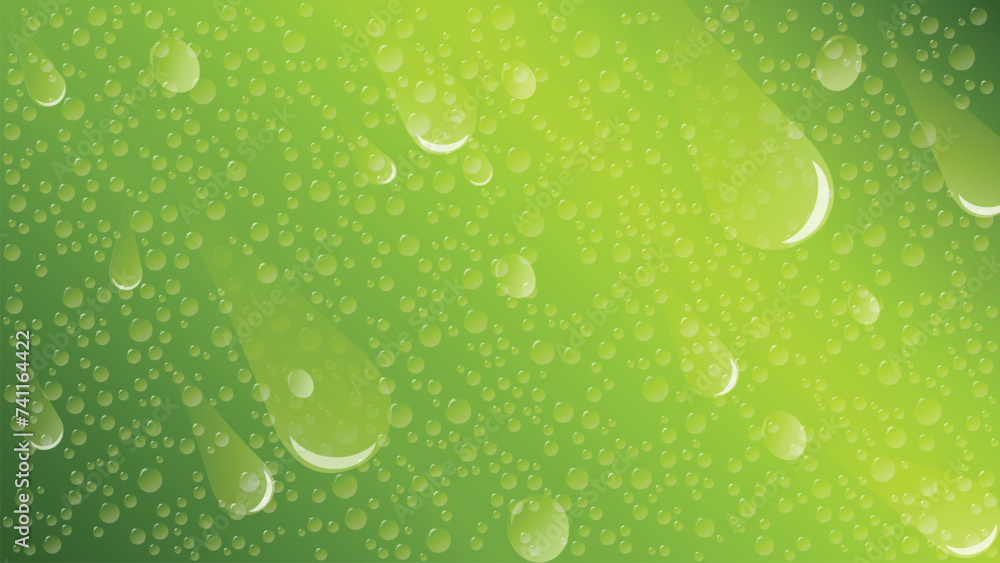 Dew Background With Green Screen