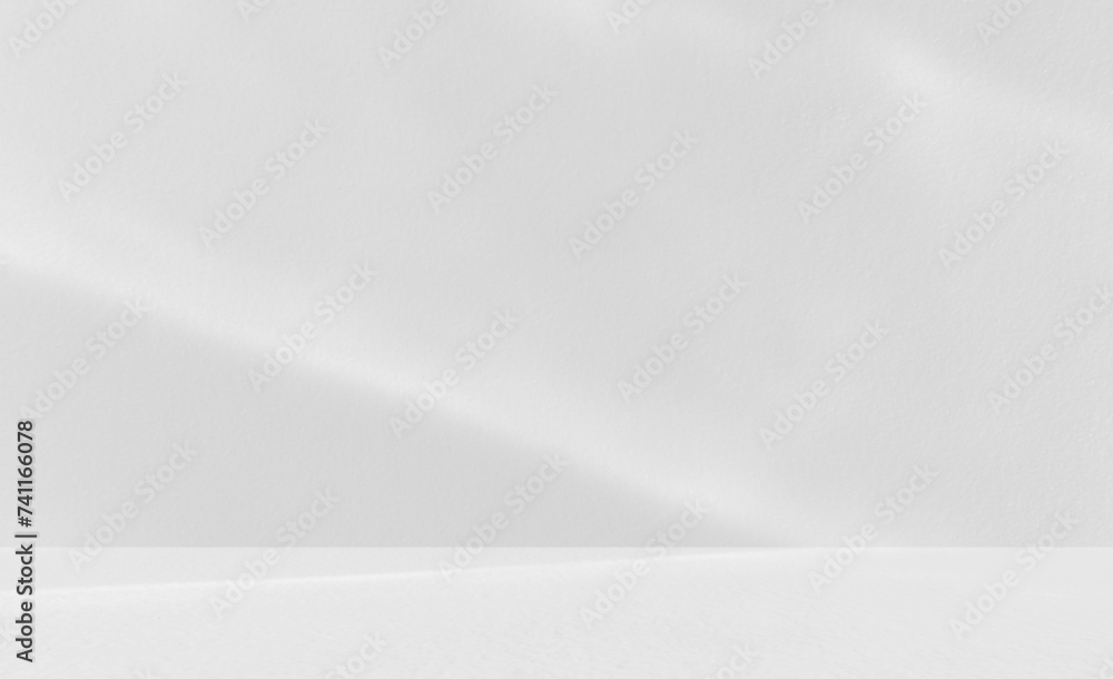 Empty gray room studio with shadow of tree leaves on the wall and floor for product presentation. Sunlight effect shadow concept. Minimal room backdrop design. Cosmetic, beauty and fashion showroom. Empty gray room studio with shadow of tree leaves on the wall and floor for product presentation. Sunlight effect shadow concept. Minimal room backdrop design. Cosmetic, beauty and fashion showroom.