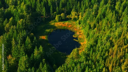 Aerial view of Lucille Lake in mountains, near Whistler, Canada photo