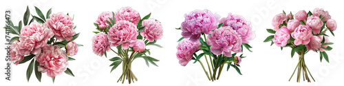 bouquet of pink peonies flowers Hyperrealistic Highly Detailed Isolated On Transparent Background Png File © Wander Taste
