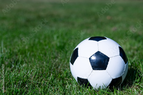 black and white soccer ball on the grass © effjott.art