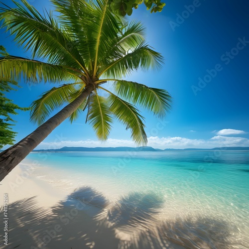 beach with palm trees © Cosmo