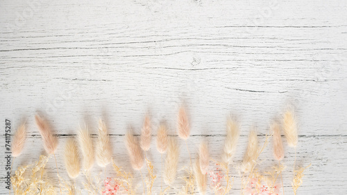Vintage style flatlay of pastel natural colored, beige, and pink foxtail on a white wooden backdrop with space for text. Spring and Autumn inspiration photo