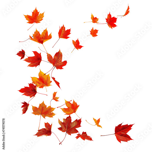 Red Maple leaves and Orange Maple leaves falling in air, Autumn season in beautiful nature concept, AI generated, PNG transparency