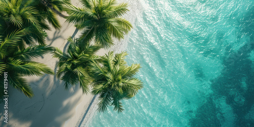 Top view tropical island sea beach with palm trees